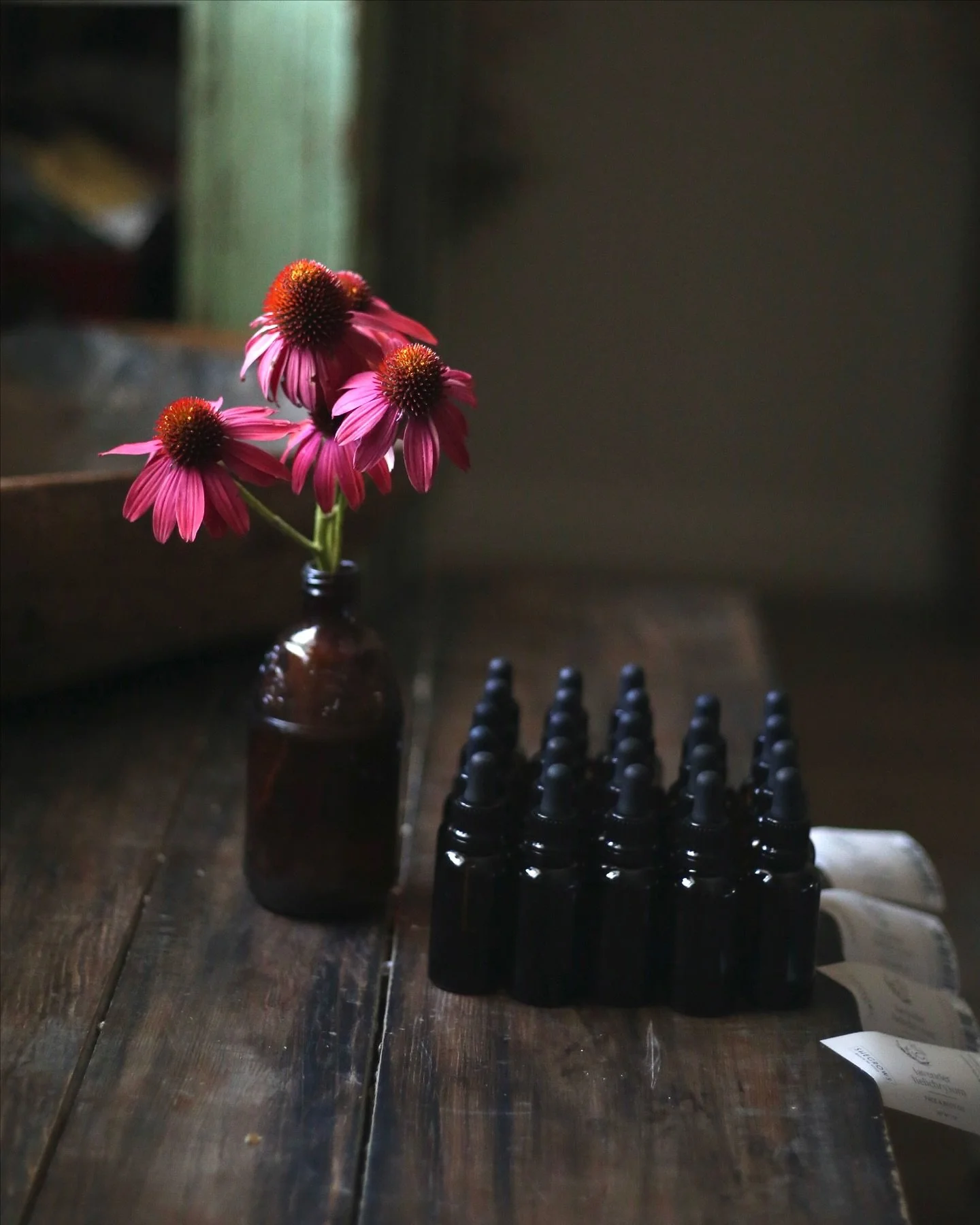 Simple skincare has always been my first love. If you&rsquo;ve been following for awhile, you know that lavender was the first flower I planted. Not only does it support your skin health, it calms your mind during stressful times. It&rsquo;s not fanc