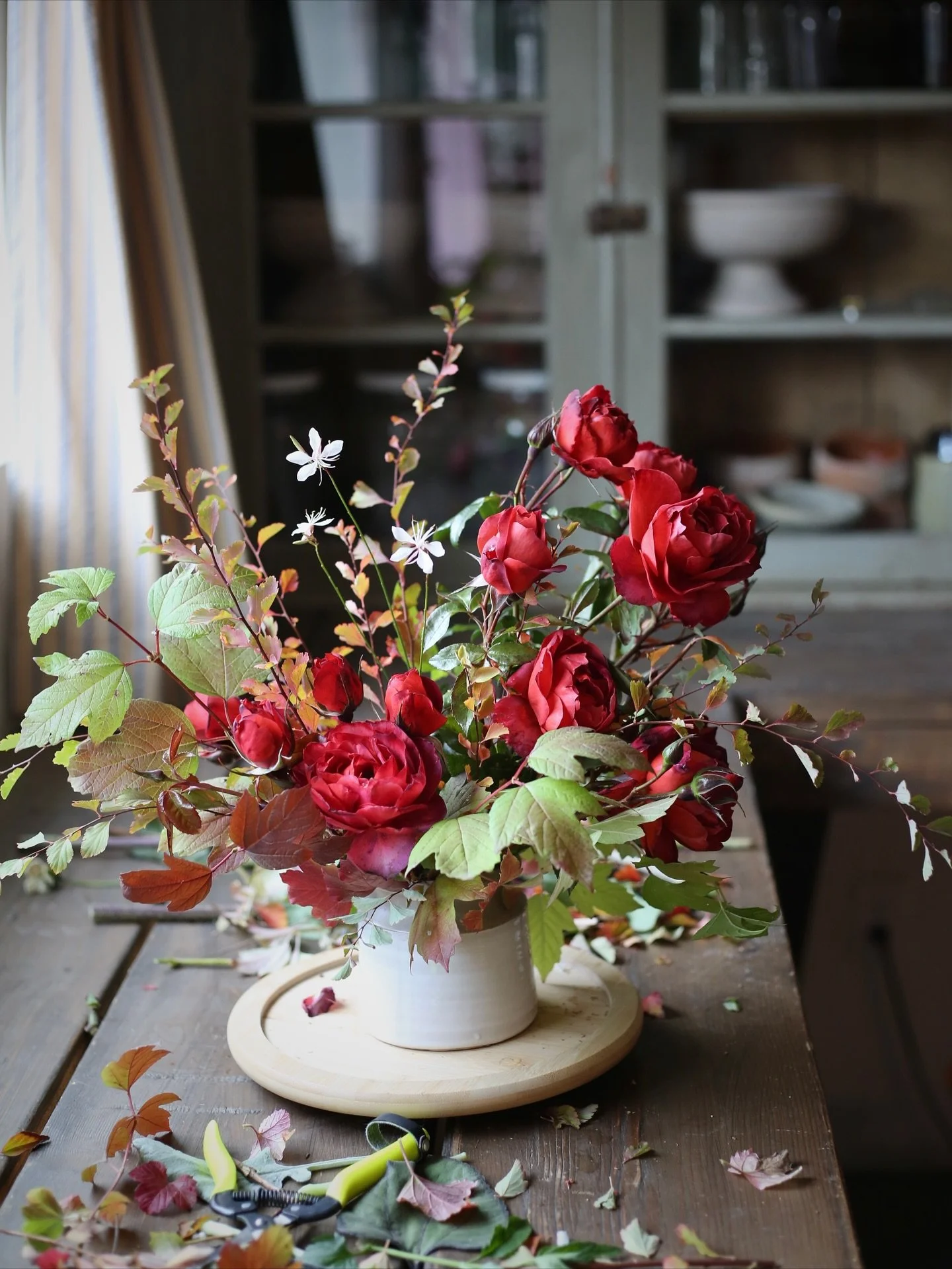 Hot Cocoa, my favorite red rose. It&rsquo;s a continual bloomer, has a nice burnt orange/red color, and has multiple flowers on the end of each stem.  As you are preparing your garden for winter, leave your roses as they are and trim them in the spri