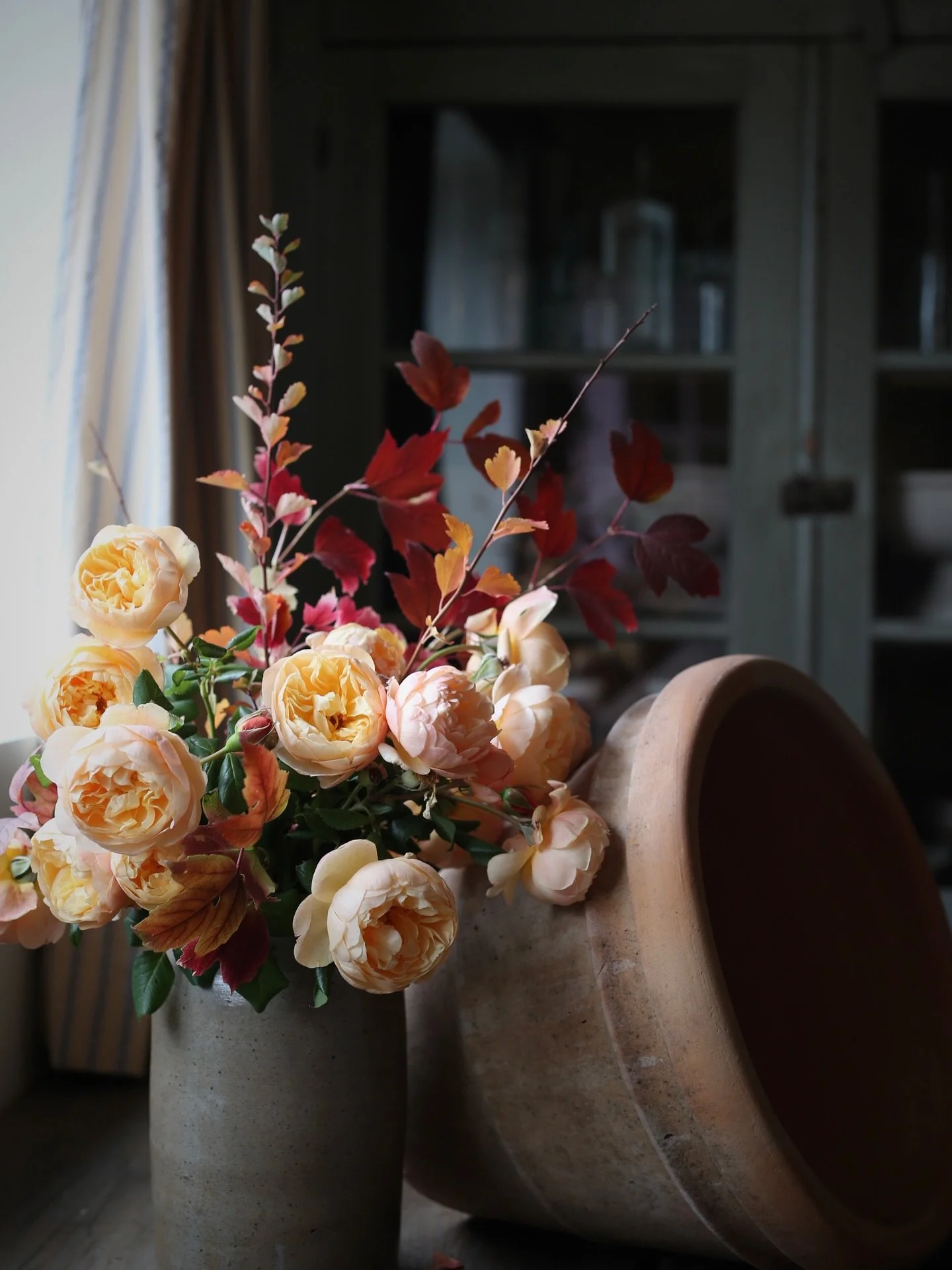 Well friend, it&rsquo;s time I made it official. We won&rsquo;t be offering our Winter Tulip CSA in 2026.  We had to make the hard decision in April when the tariff letters from our bulb suppliers started to roll in.  An increase of 20-80% on bulbs w