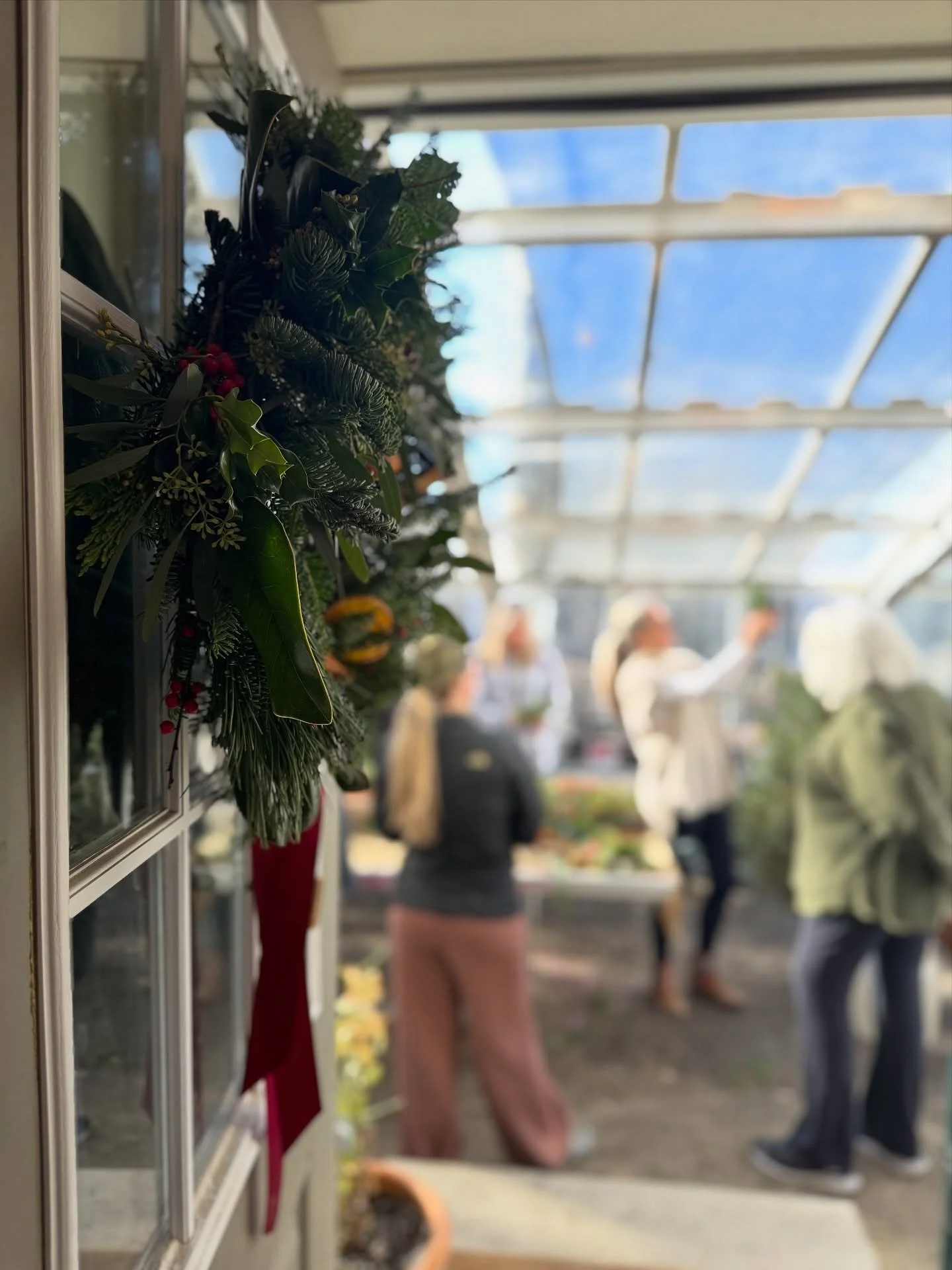 Join us in the greenhouse for our Winter Wreath Workshops on December 5, 6, and 7th. The greenhouse benches will be overflowing with fragrant and seasonal greens, winterberries, peppercorns, dried pods, fruit slices, cinnamon sticks, pine cones, and 
