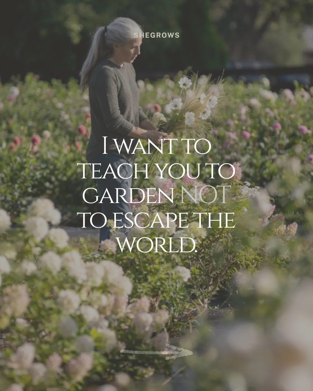 If becoming a better gardener this year is calling you, listen. If you need help, I want to teach you. Our online apprenticeship program is now open. It&rsquo;s only open once a year and it starts in February. 

We&rsquo;ve made it more flexible, man