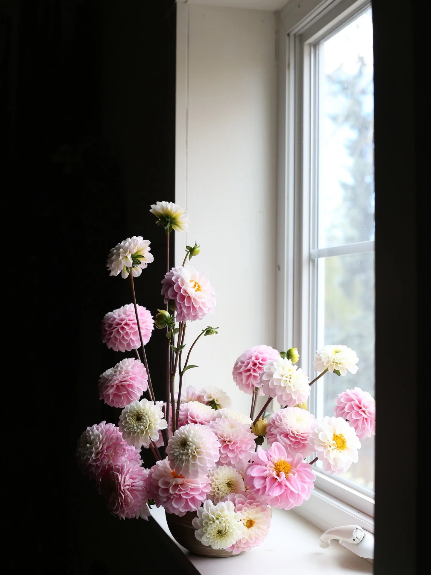 April&rsquo;s Farmgate Friday is this week! We&rsquo;ll be open tomorrow, April 10 from 8-3:30. Come by and pick up your dahlia tubers and some soap! I&rsquo;ll be teaching a dahlia mini course at 10:00, sign up online. Address is 7491 Kline Drive, A