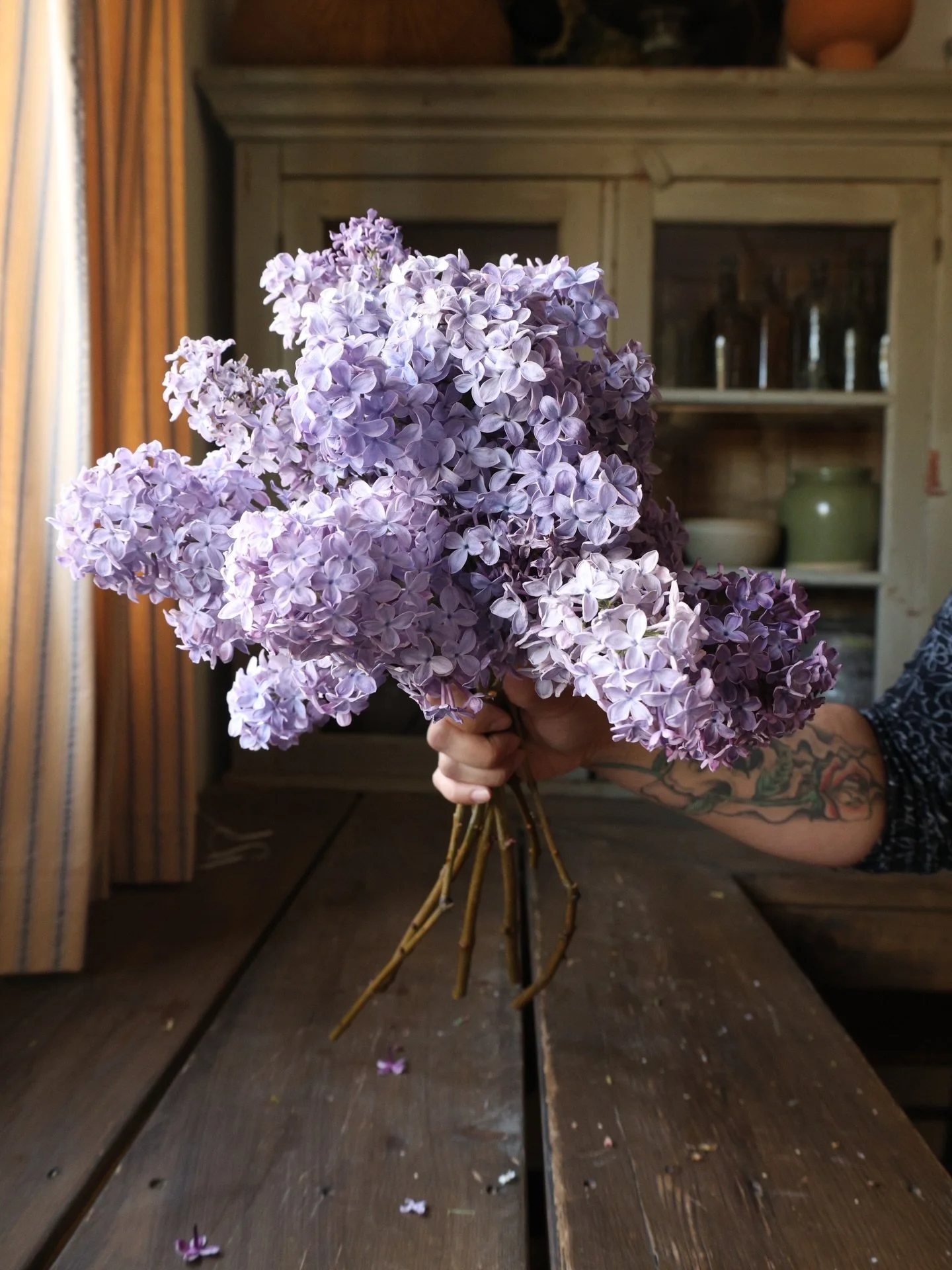 Spring has had such an attitude this year. Lilacs are suppose to bloom in May, but these are from April. They came and went in the night kind of like our teenager. Flaunting her fragrance everywhere she goes and completely unpredictable. #lilacs #tee