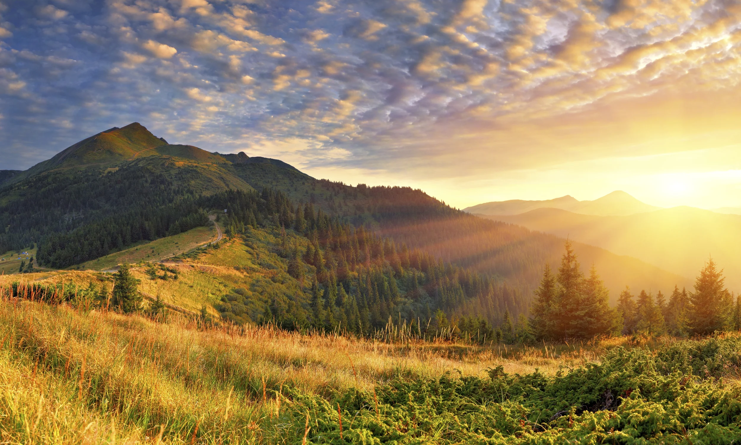 ThinkstockPhotos-481565157.jpg