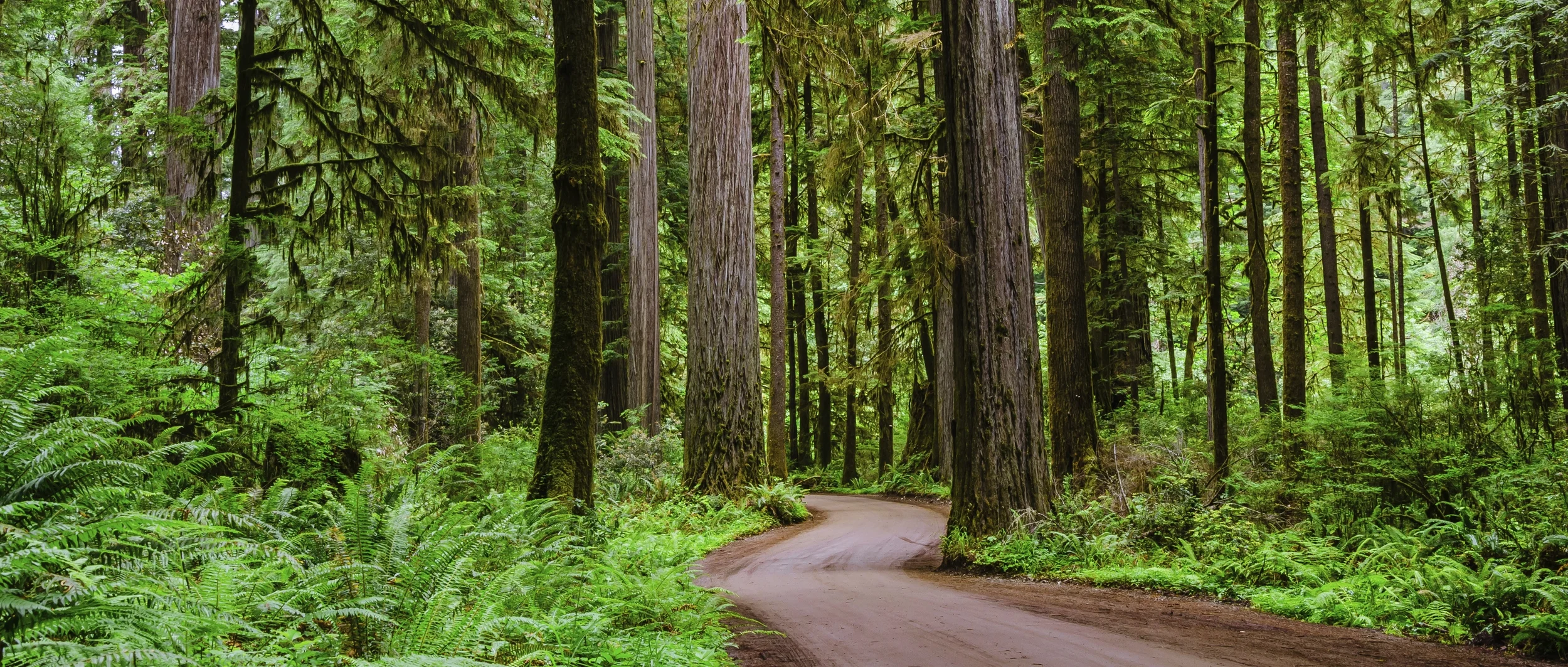ThinkstockPhotos-462548299.jpg