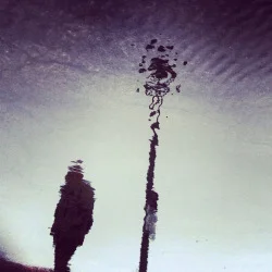 tumblr_n0r2f0mM7q1rnyedeo1_250.jpg