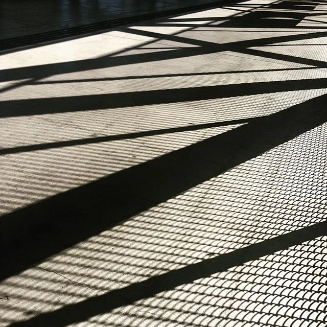 11249112_152863295062053_1971813134_n.jpg