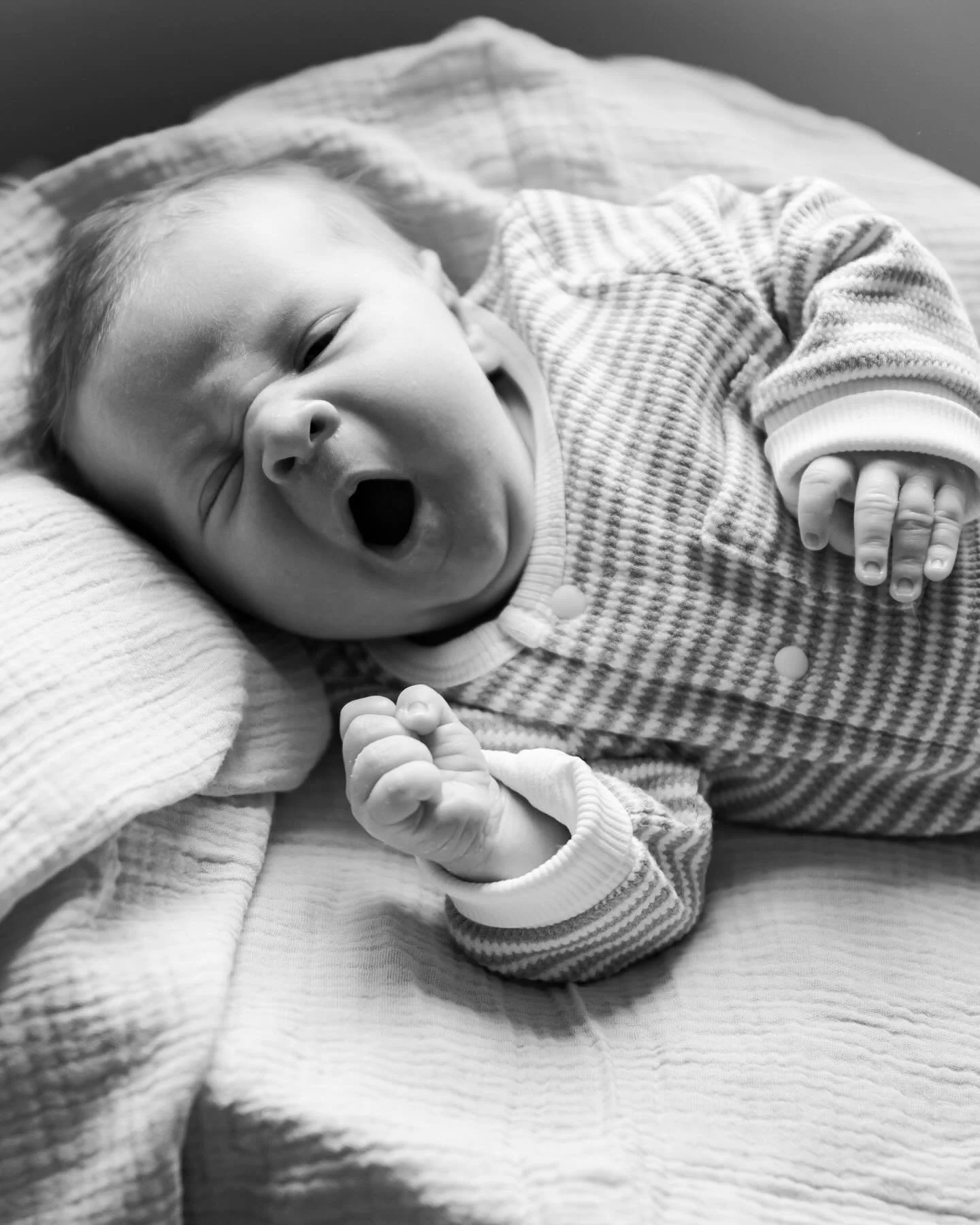 This little man melted my heart into a puddle! 🥹 I so enjoyed getting to spend a slow Sunday morning with him and his sweet momma!❤️

#newbornsession #newbornlifestyle #familyphotography #knoxvillephotographer #newbornbabyboy