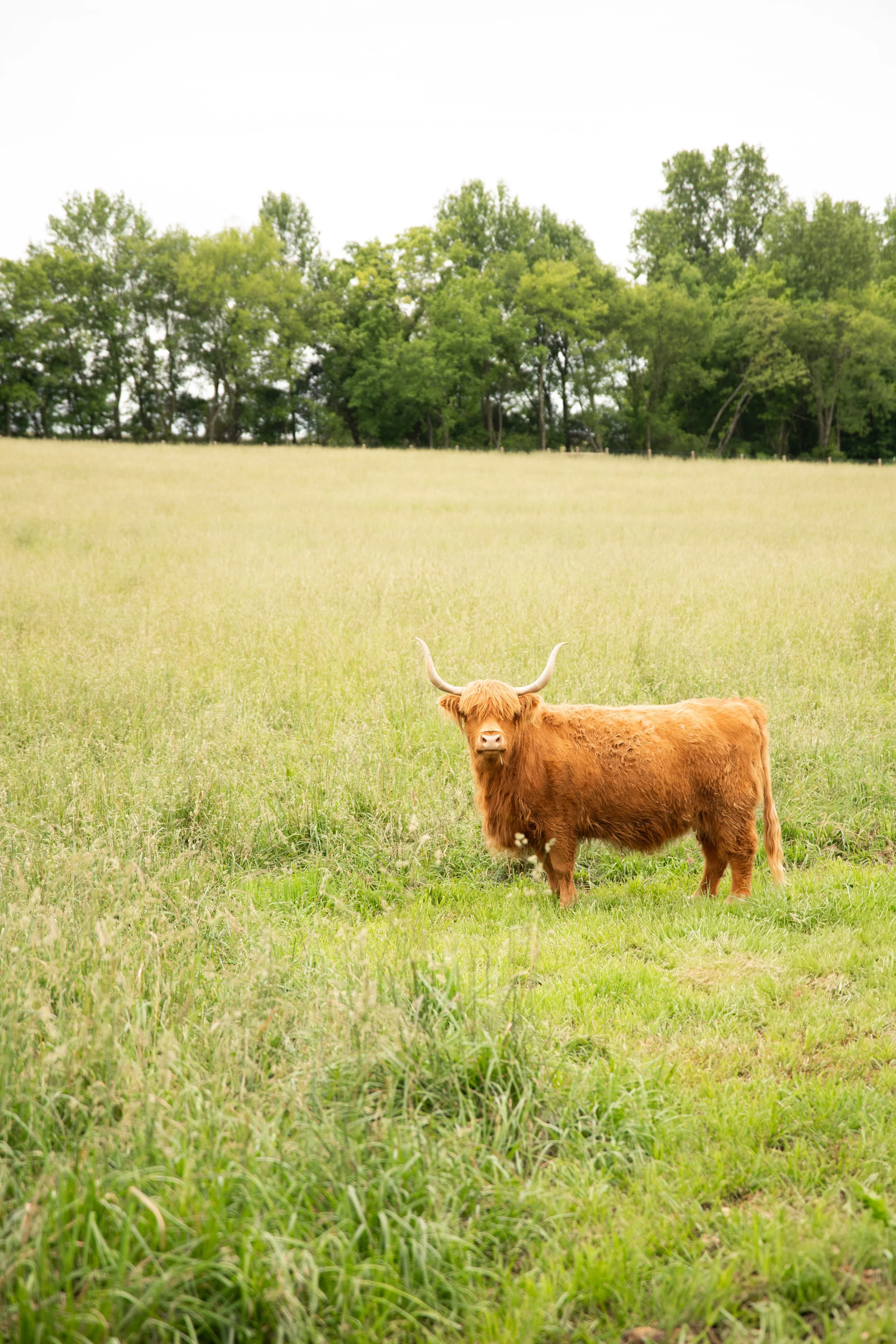 brittney_beeler_photography_mashburn_farms_wedding-120.jpg