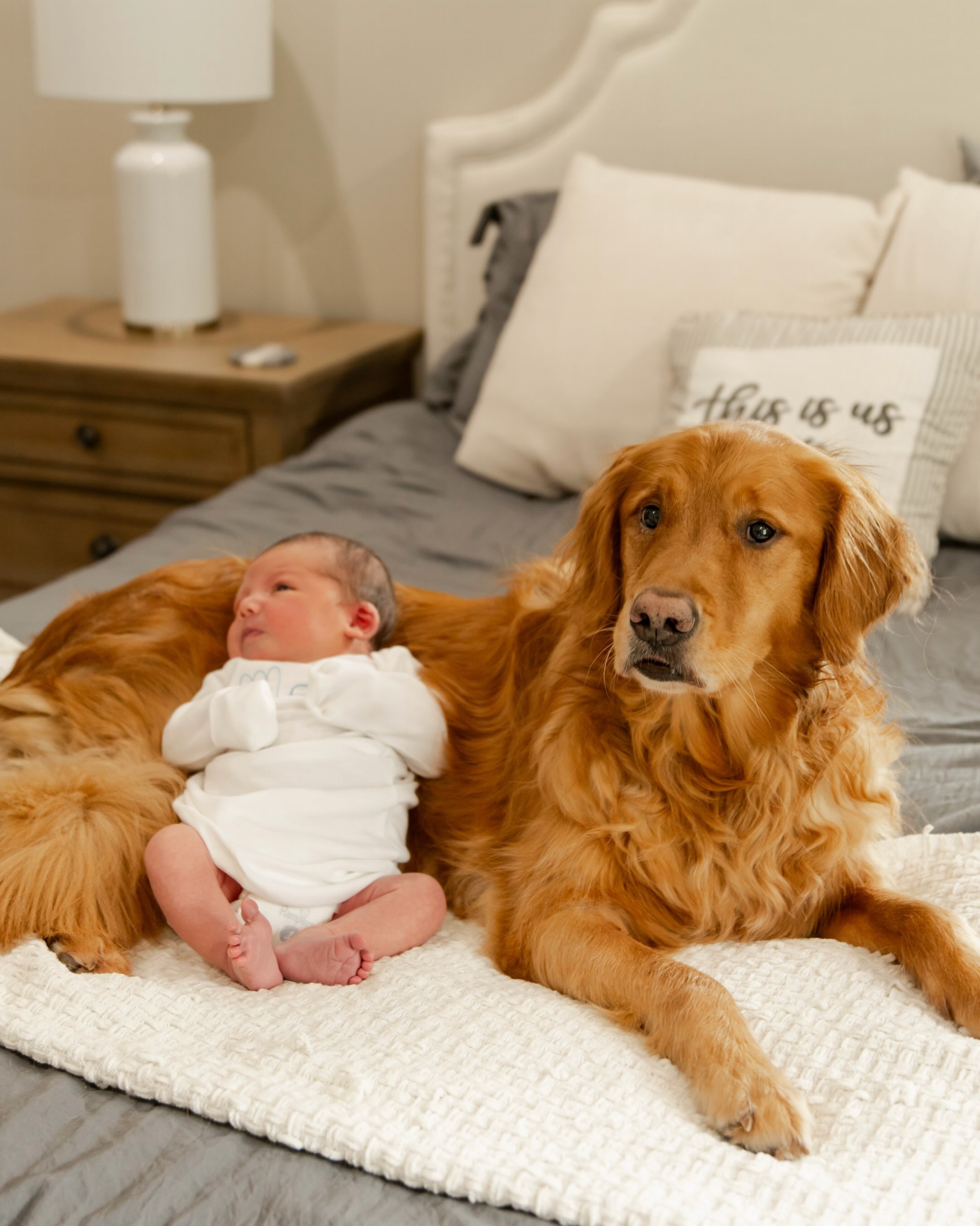 The tiniest hands, the sweetest little smiles, and one very proud four-legged big brother.

There&rsquo;s just something about newborn sessions at home. No rushing, no need for everything to be perfect - just soaking in this brand new season exactly 
