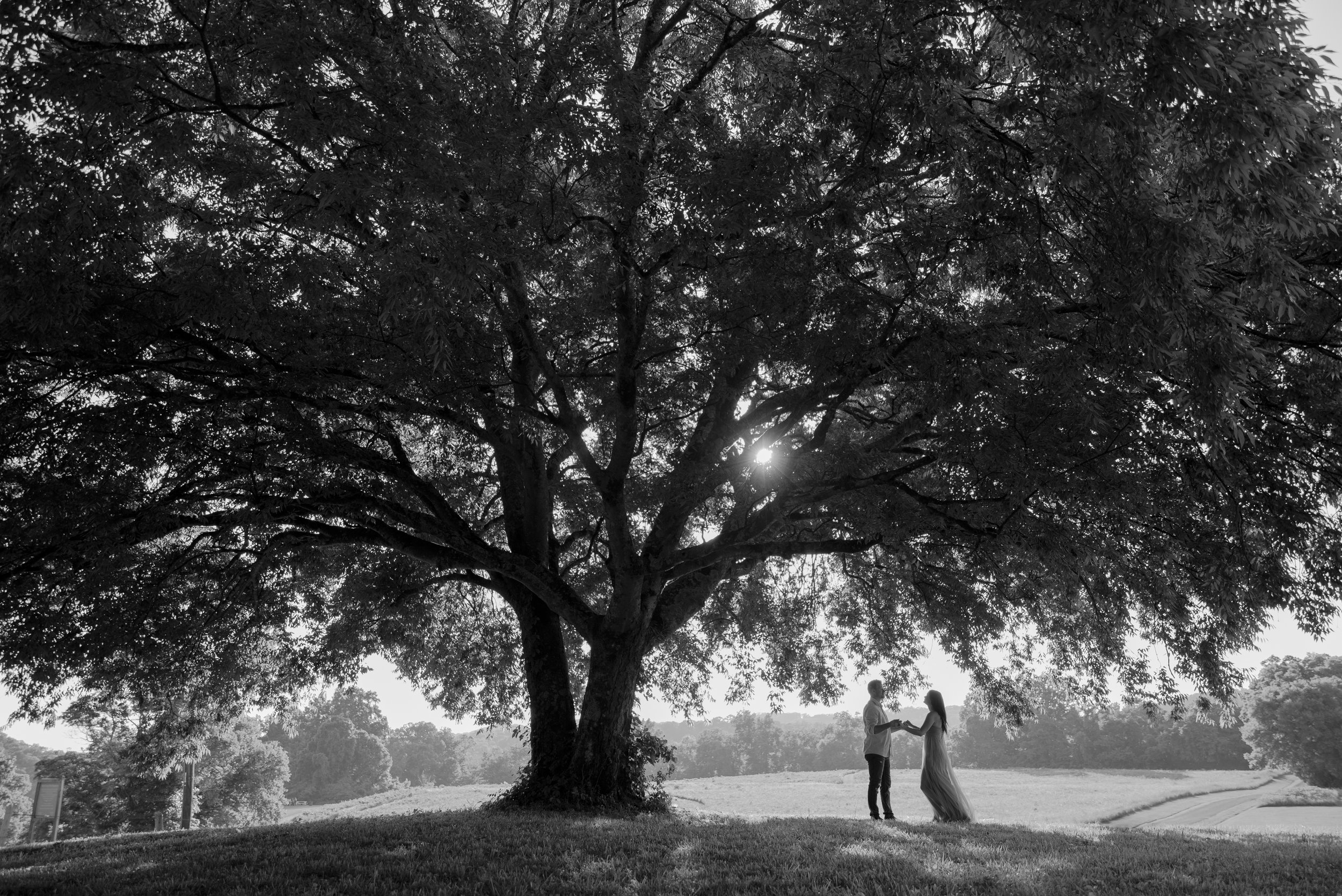 East Tennessee couples photography session at golden hour