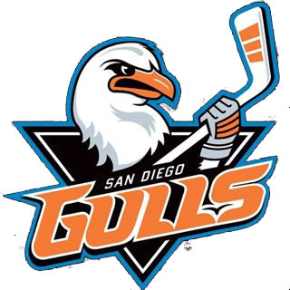 Gulls logo.jpg