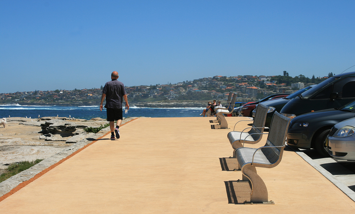 Clovelly Carpark Coastal Walk