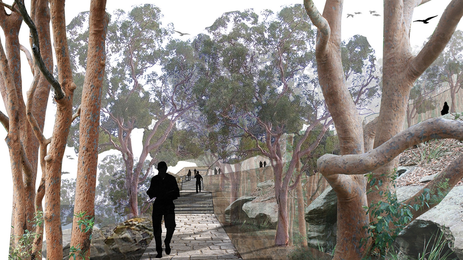 Barangaroo Headland - Design Competition