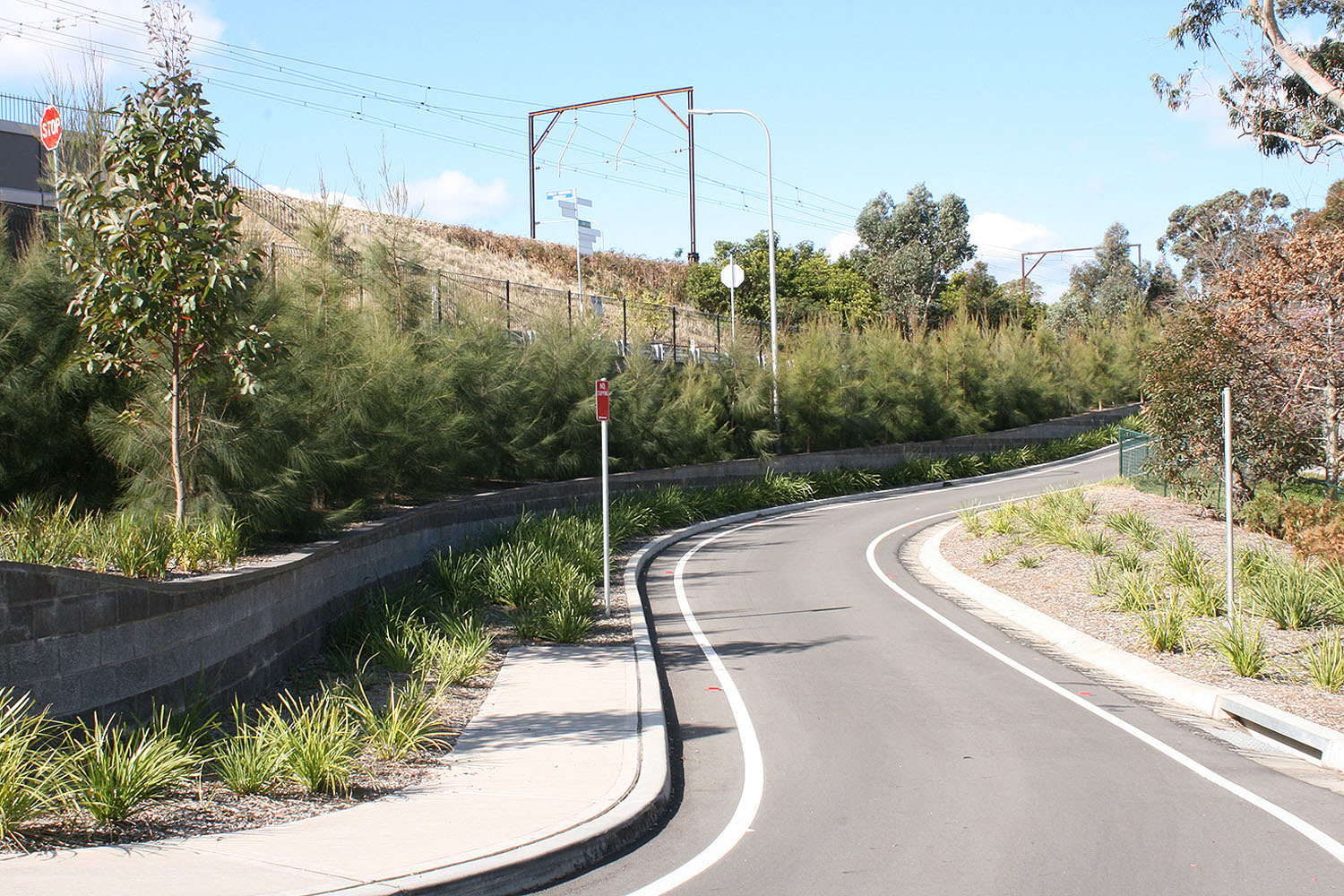 planting-and-retaining-to-access-road.jpg