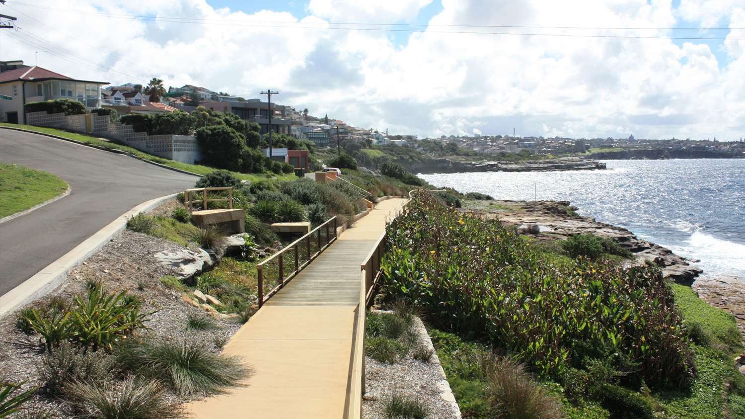 coastal-walk-and-planting-2.jpg