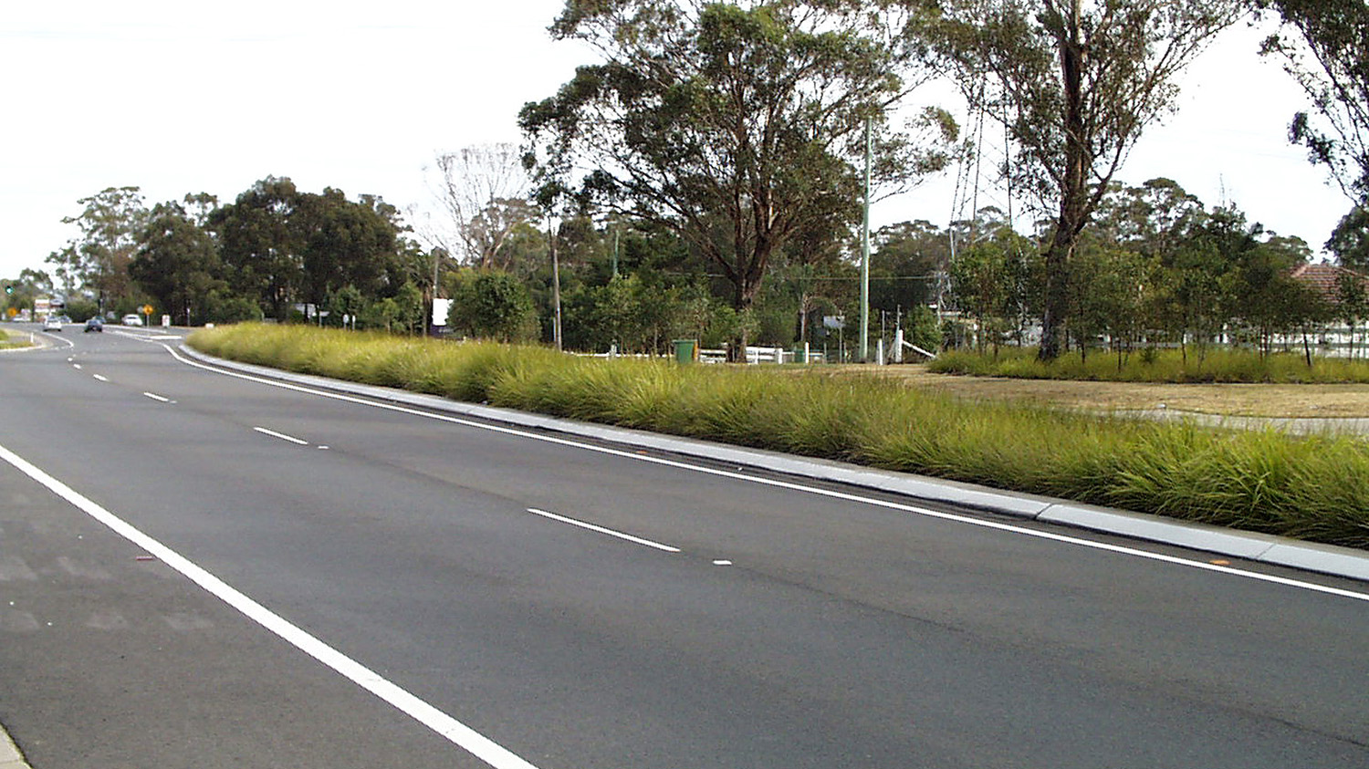 planting-within-the-median.jpg