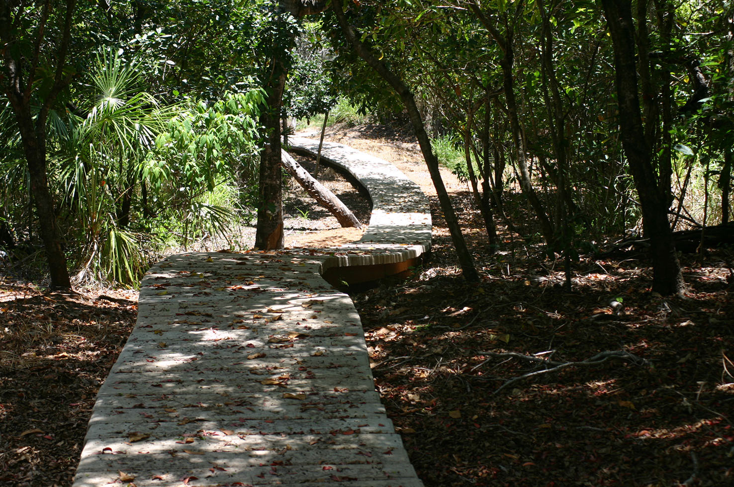 boardwalk-between-the-lookout-and-the-beach.jpg