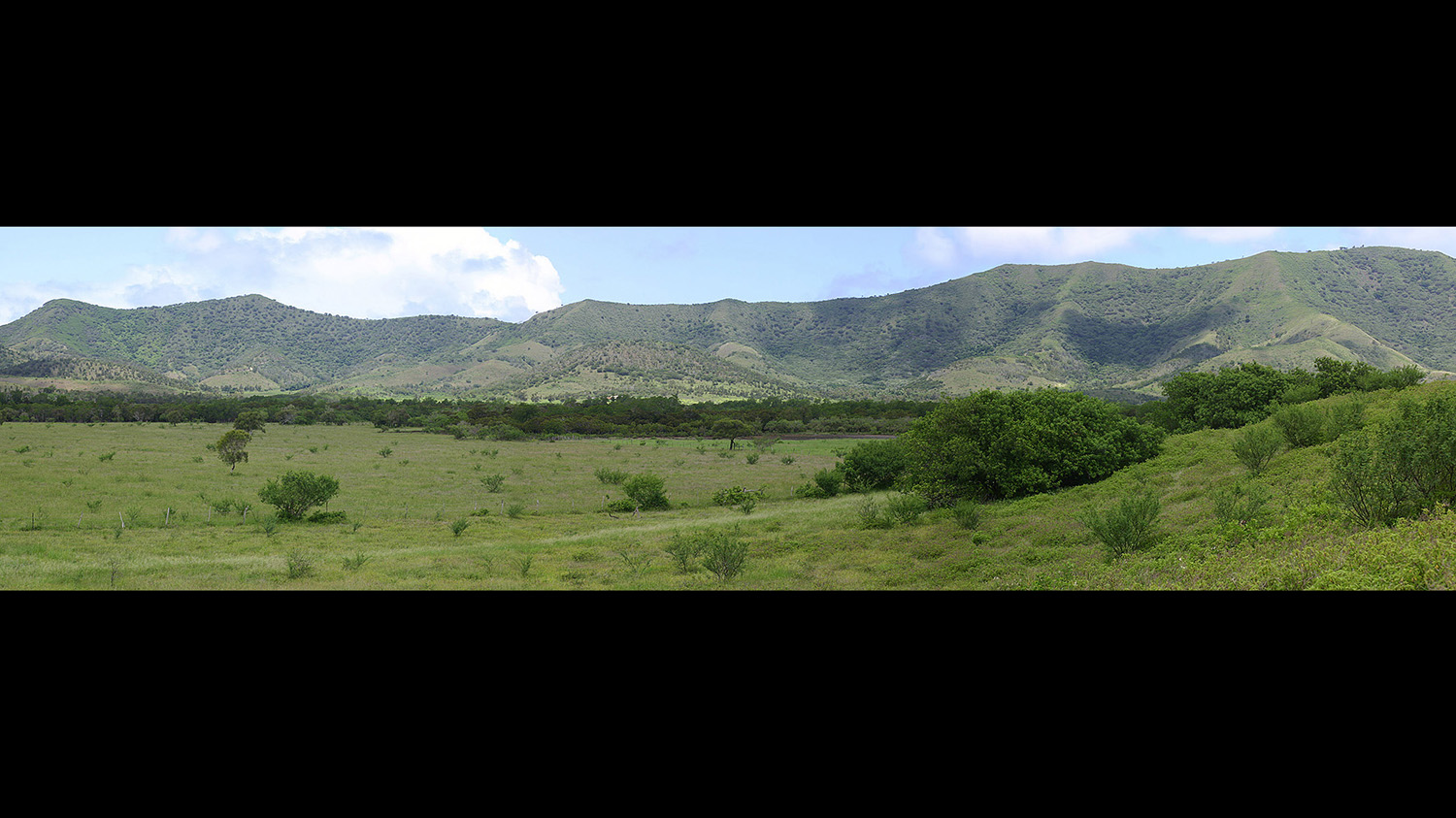 View south west across site.jpg