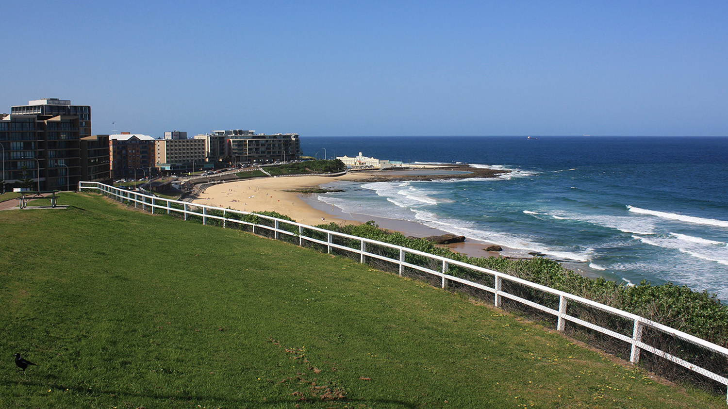 view-from-Fletcher-Park-to north along-Newcastle-Beach.jpg