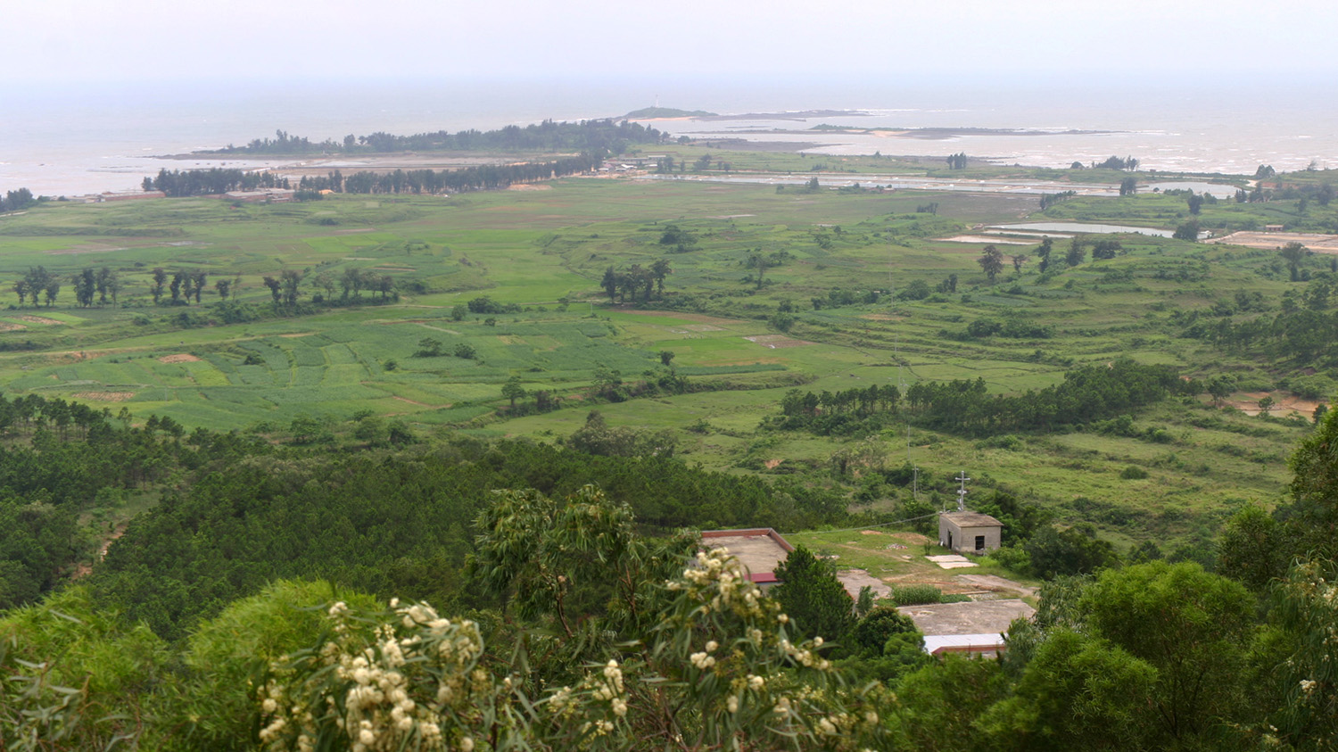 view south across site.jpg