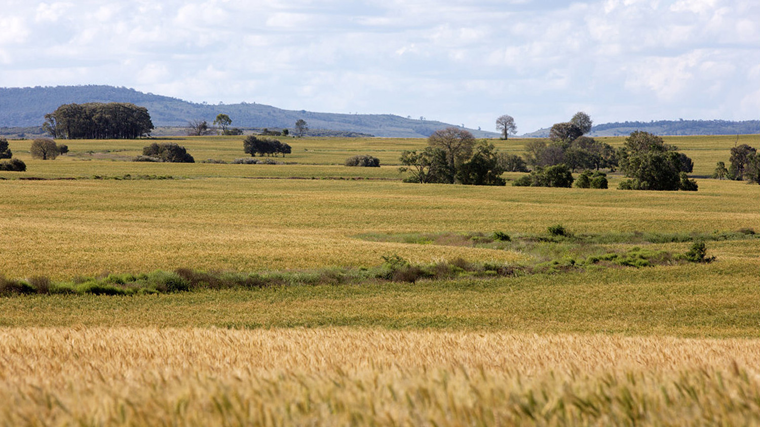 restored site of previous exploration well.jpg