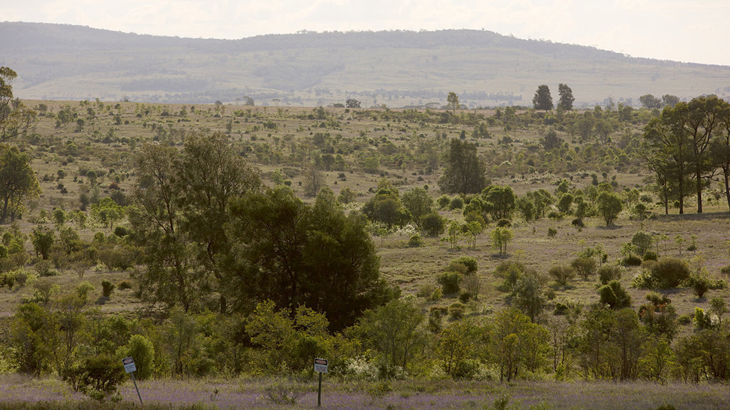 typical rural landscape with gas pipeline in foreground.jpg