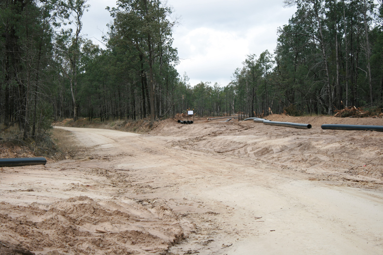 gas pipeline construction in forest.JPG