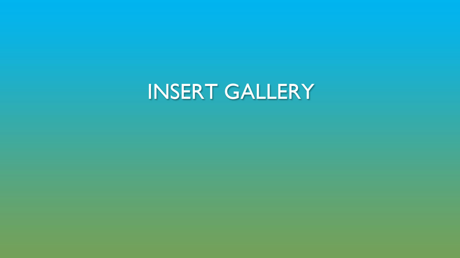 1_INSERT GALLERY.jpg