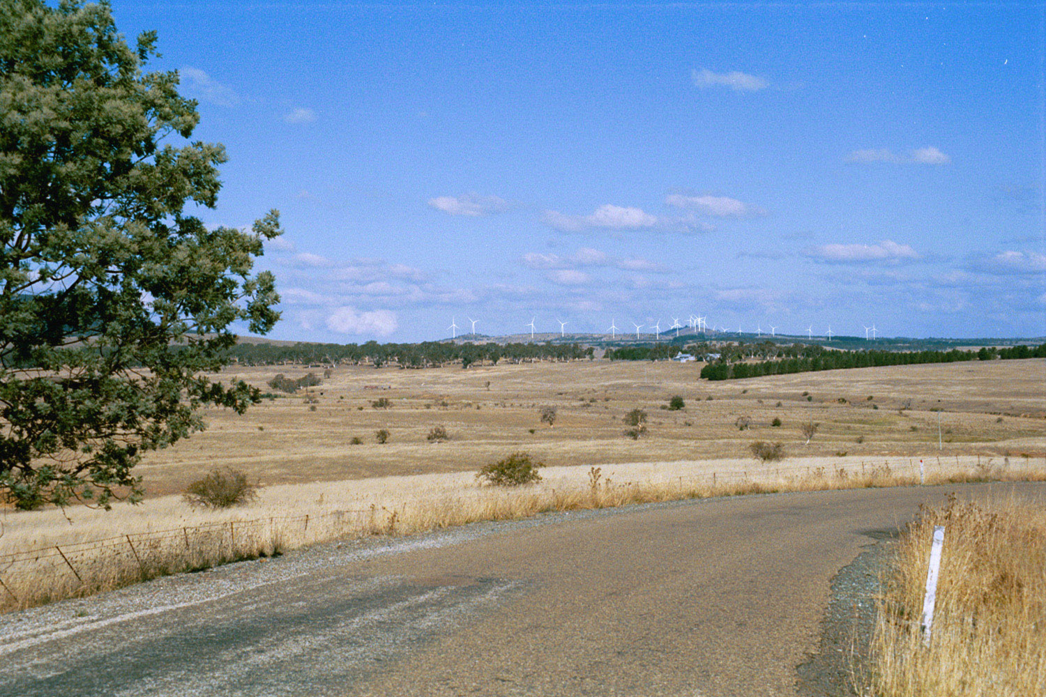 visual simulation of windfarm from Collector Rd. (2).jpg