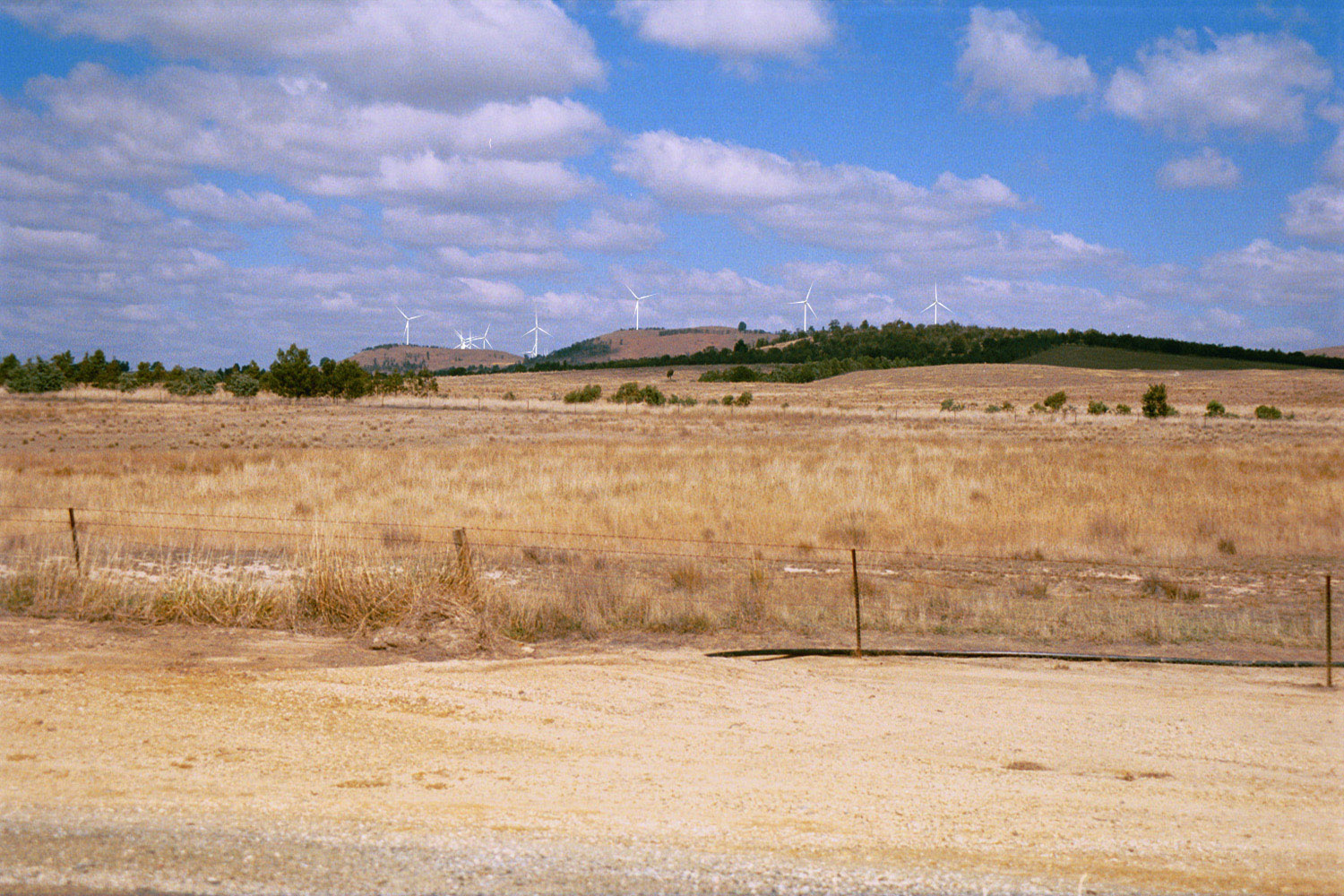 visual simulation of windfarm from Collector Rd. 1.jpg