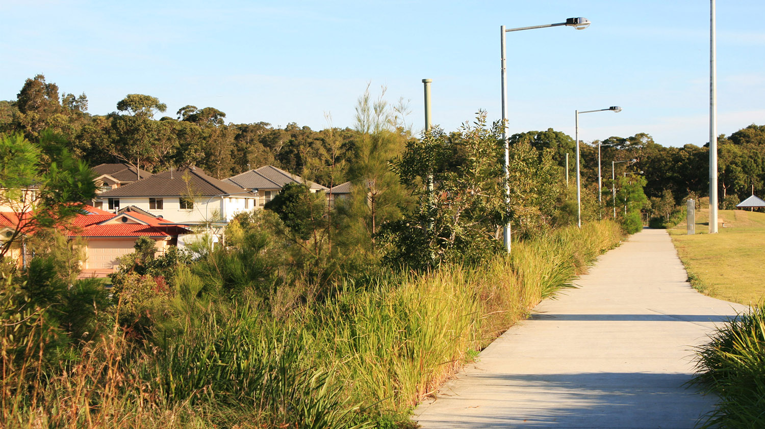 boundary between sports field & residential development.jpg