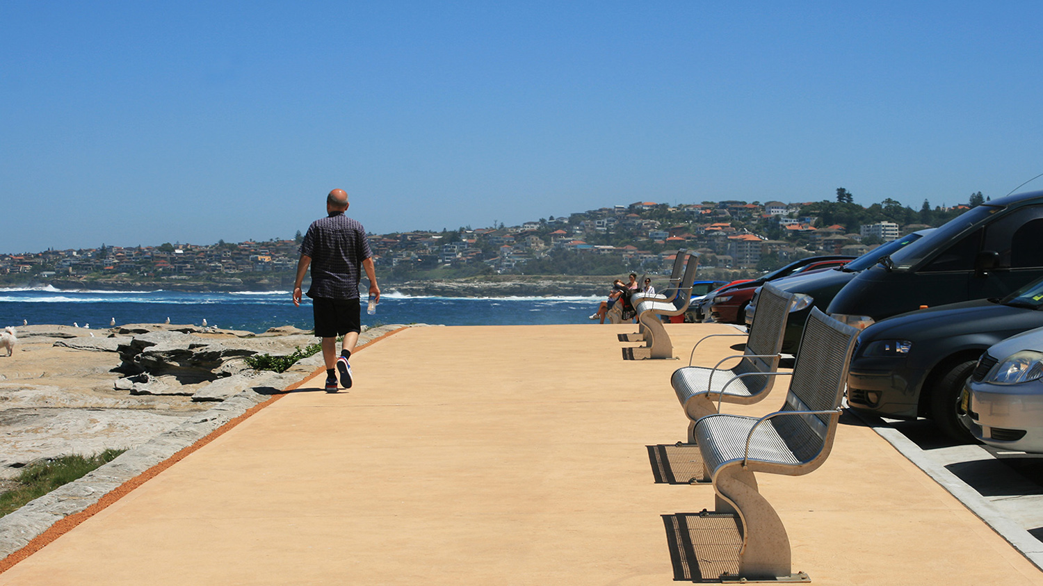 2-coastal walk adjoining carpark.jpg