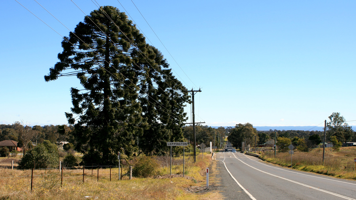 image1.jpg