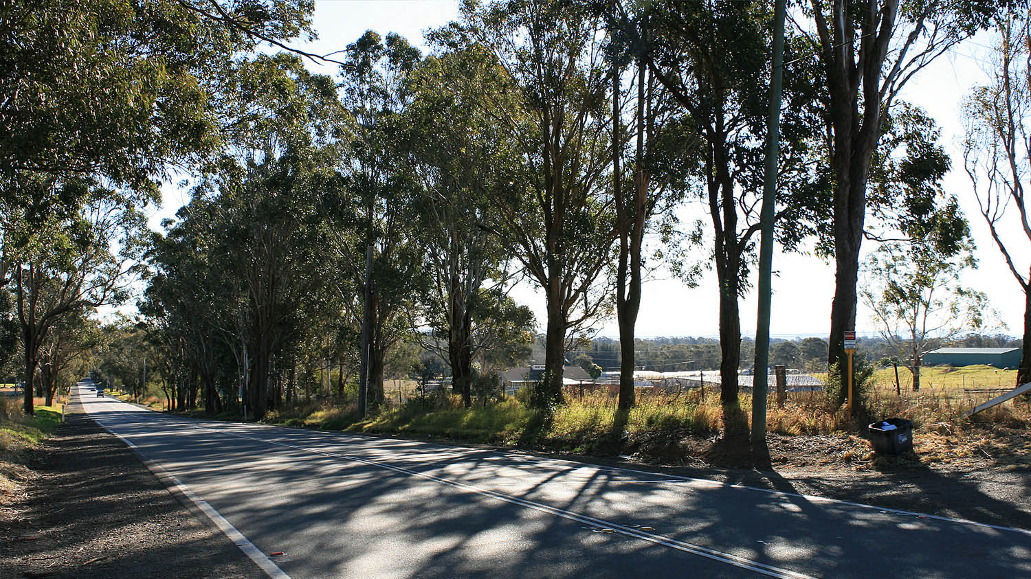 image3.jpg