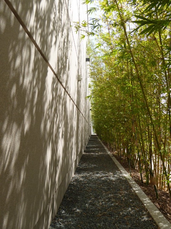 Bamboo screen against Metro maintance building