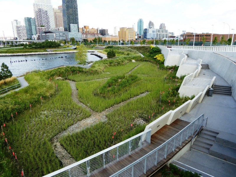 View from observation deck over wetland &amp; adjoining terraces