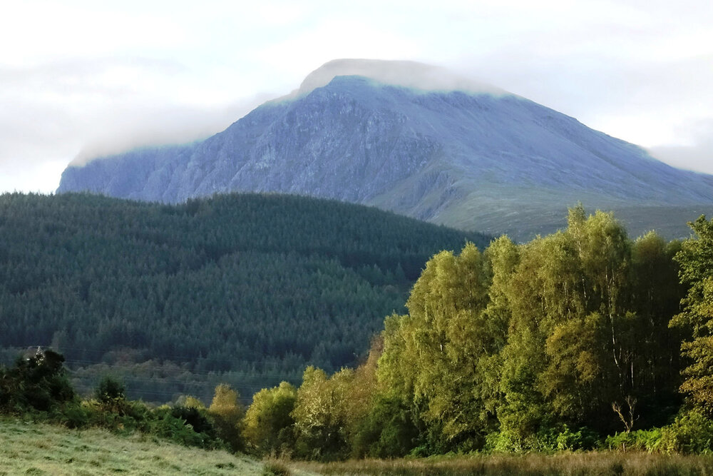 Ben Nevis with forest plantation in mid-distance