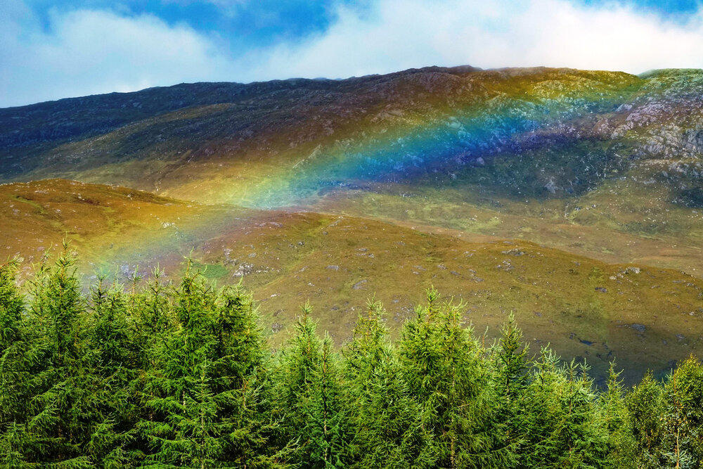 Rainbow over valley with forest plantation in foreground