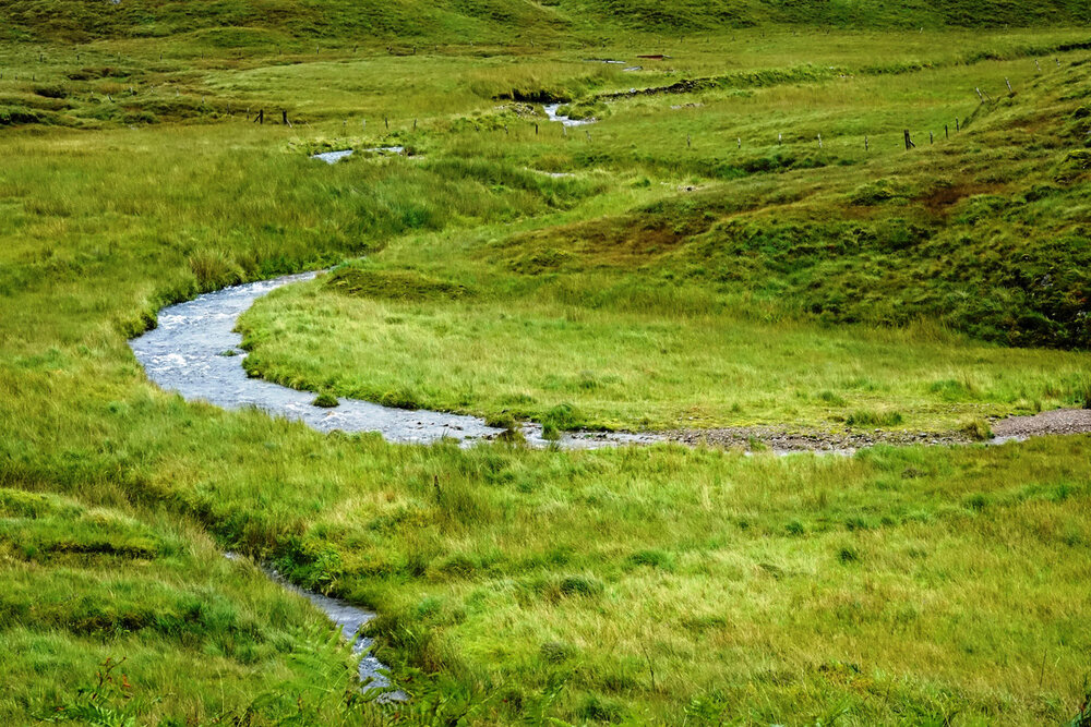 Brook flowing through highland meadow 