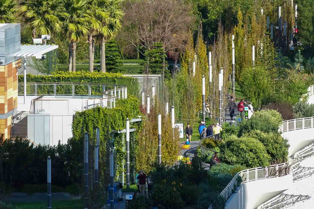 View of rooftop park from sfMOMA