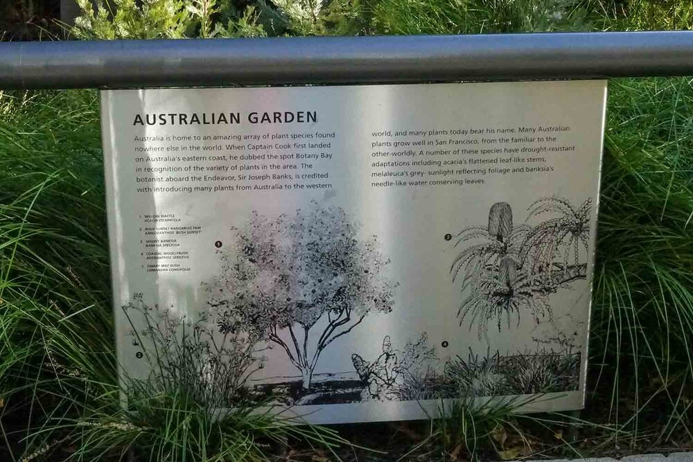 Interpretation panel for Australian species planting