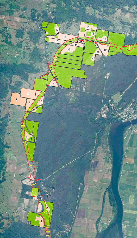 Koala Habitat Planting areas