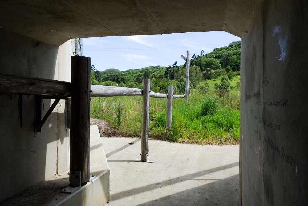 Wildlife underpass with elevated timber rails for Koalas