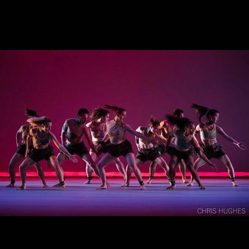 Collective 2017 Digital Recording