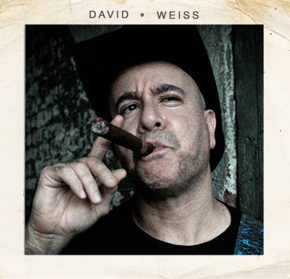 David Weiss (Guitar, BG Vocals)