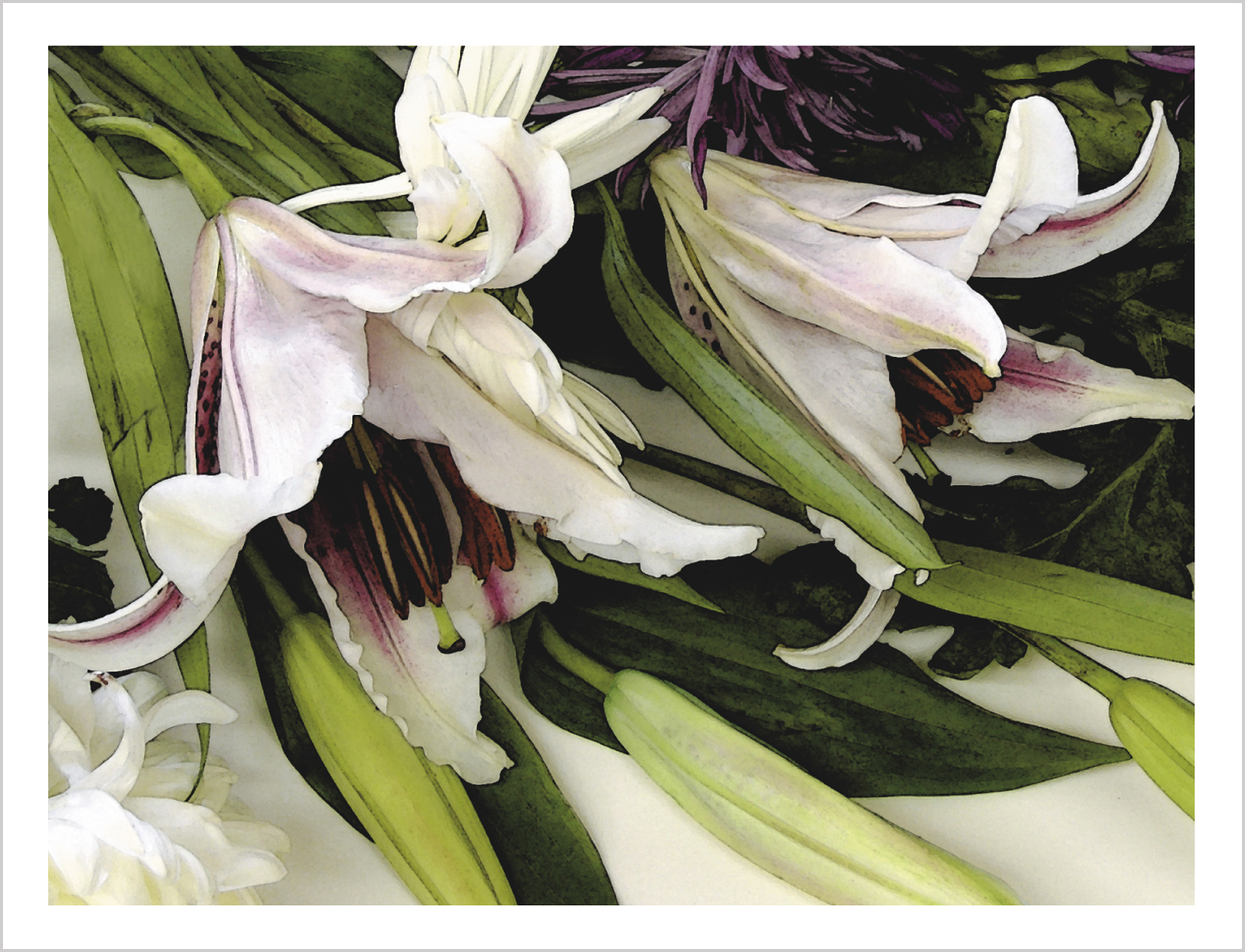 Stargazer Lilies Note Card from Little Note Card