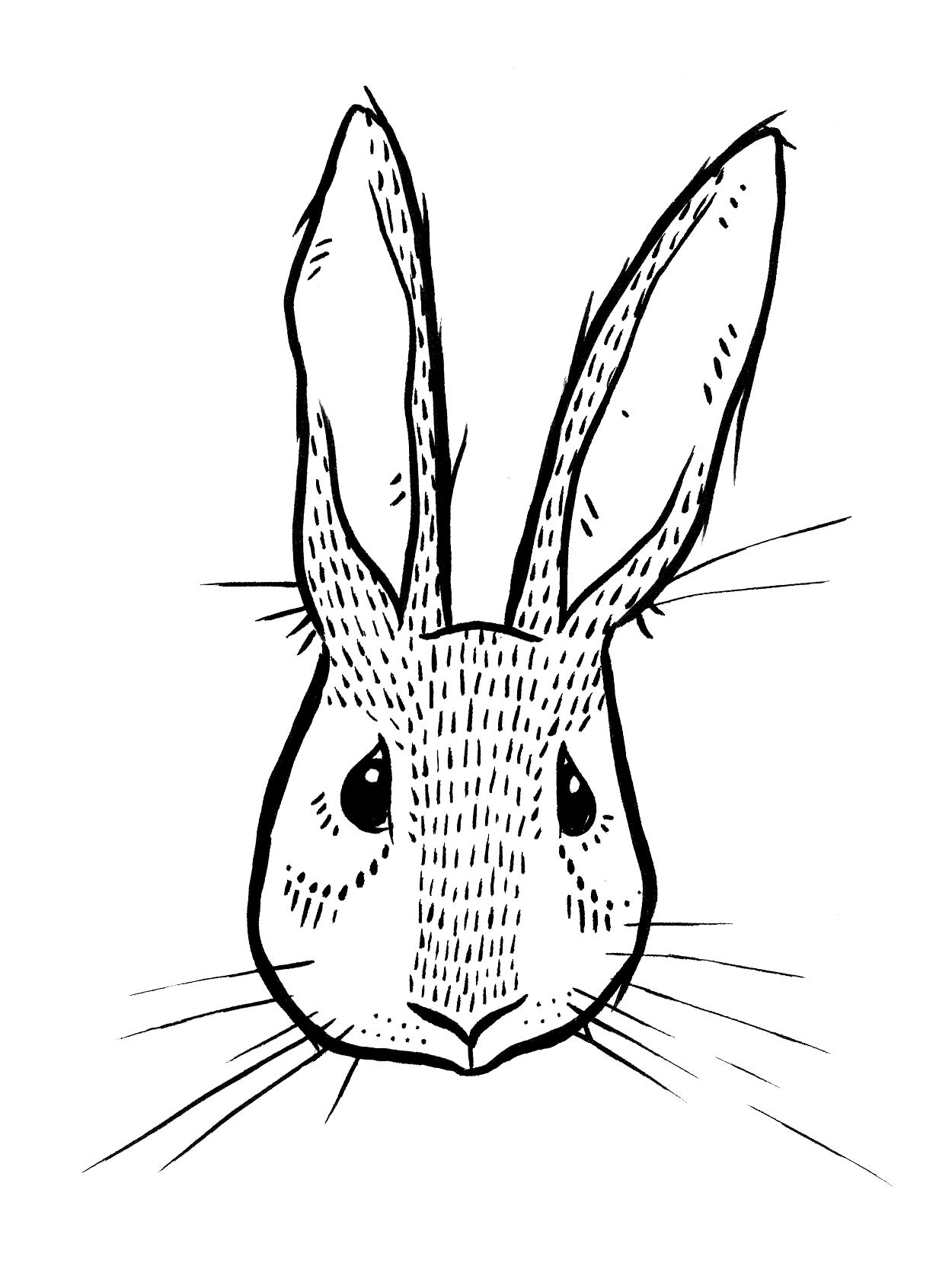 Sweeet Rabbit - Black and White