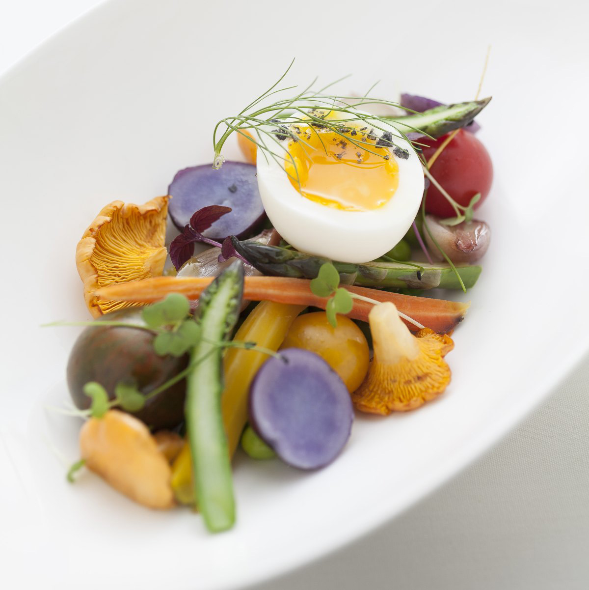 Spring vegetable salad, poached egg, fingerling potatoes and morels