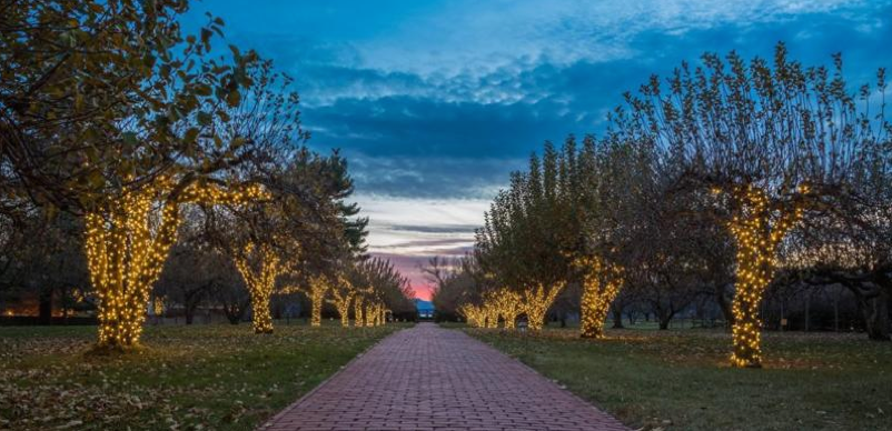 Exterior Lights